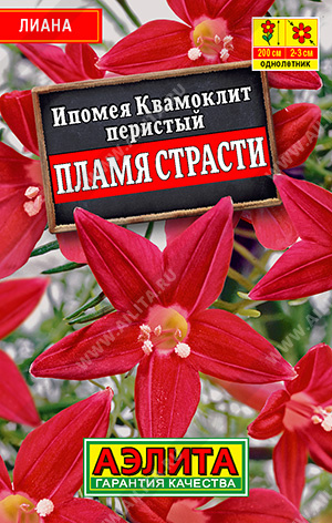 Ипомея Квамоклит Пламя страсти 15шт лид/п (Аэлита)