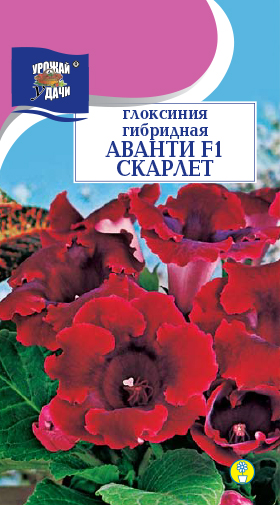 Глоксиния Аванти Скарлет F1 3шт ц/п (УУ)