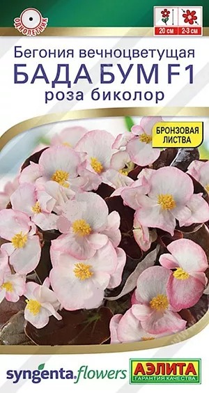 Бегония Бада Бум Роза Биколор F1 5шт ц/п (Аэлита)