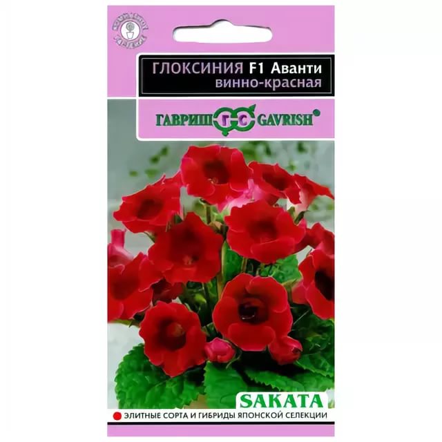 Глоксиния Аванти винно-красная F1 4шт ц/п (Гавриш) Эксклюзив