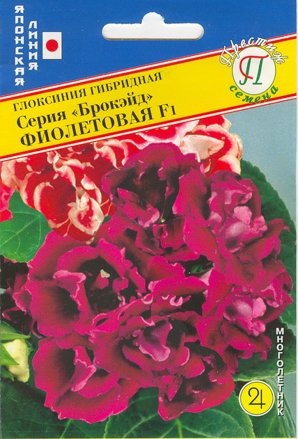Глоксиния Брокэйд фиолетовая F1 5шт (Престиж)