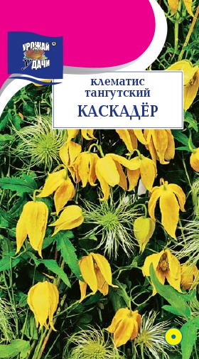 Клематис Каскадер тангусский 0,02г ц/п (УУ)