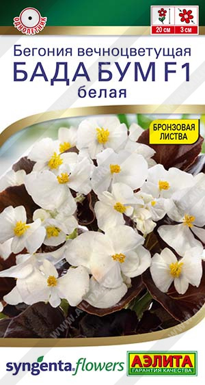 Бегония Бада Бум Белая F1 5шт ц/п (Аэлита)