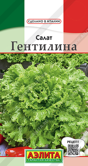 Салат Гентилина 0,5г ц/п (Аэлита) 
