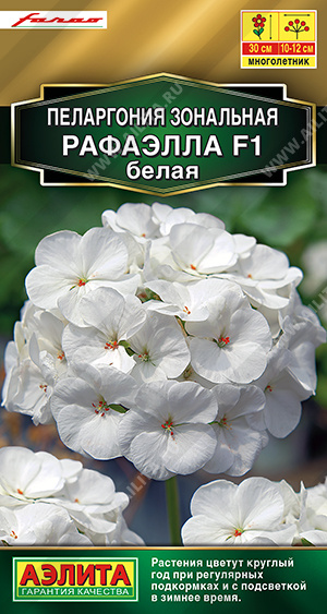 Пеларгония Рафаэлла белая F1 5 шт ц/п (Аэлита)