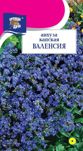 Анхуза капская Валенсия 0,1г ц/п (УУ)