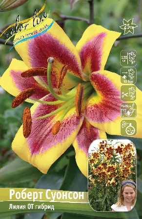 Лилия Роберт Суонсон 12/14 1шт (КолЛайн) 5шт/уп 