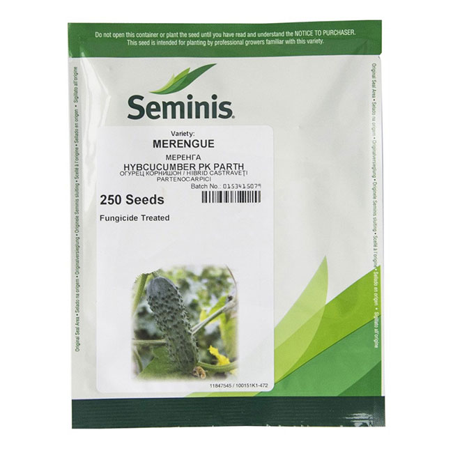 Огурец Меренга F1 250шт (Seminis)