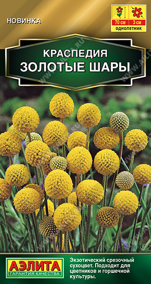 Краспедия Золотые шары 0,05г ц/п (Аэлита)