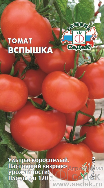 Томат Вспышка 0,1г ц/п (Седек) ультраскороспелый, 120г, 50см
