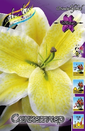 Лилия Санкетчер 12/14 1шт (КолЛайн) 2шт/уп