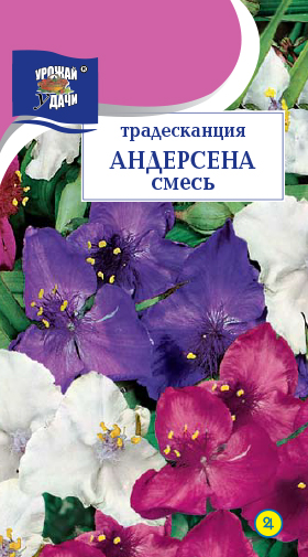 Традесканция Андерсена, смесь 0,02г ц/п (УУ) Новинка