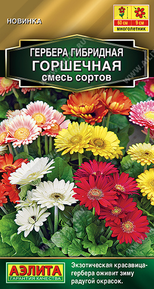 Гербера Горшечная, смесь сортов 10шт ц/п (Аэлита) Новинка