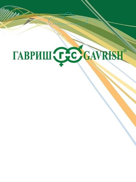 Газон Моя мечта 0,3кг (Гавриш) 2/15