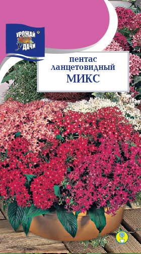 Пентас ланцетовидный Микс F1 3шт ц/п (УУ) 