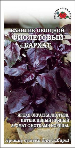Базилик Фиолетовый бархат 0,5г ц/п (З/Сотка)