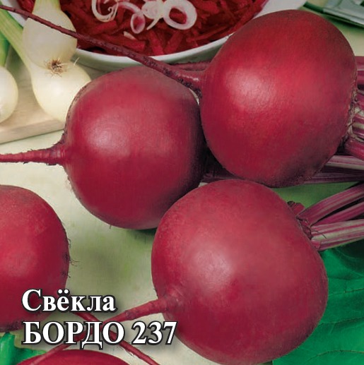 Свекла Бордо 237 100г (Гавриш)