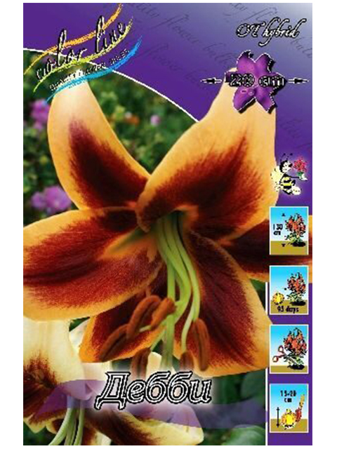 Лилия Дебби 12/14 1шт (КолЛайн)