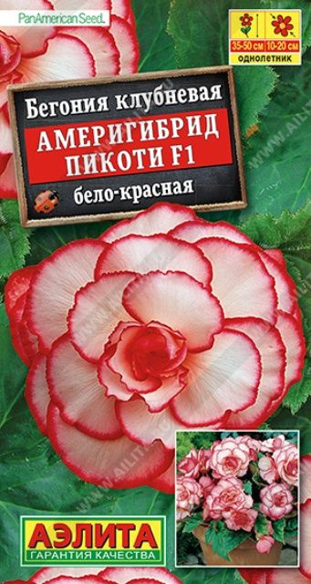 Бегония Америгибрид Пикоти F1 бело-красная 5шт ц/п (Аэлита)