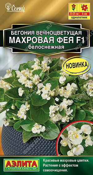 Бегония Махровая Фея белоснежная F1 5шт ц/п (Аэлита) Новинка