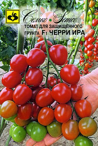 Томат Черри Ира F1 5шт (Семко) раннеспелый,кистевой,масса до 35г