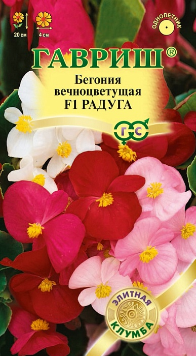 Бегония Радуга, смесь F1 7шт ц/п (Гавриш) 