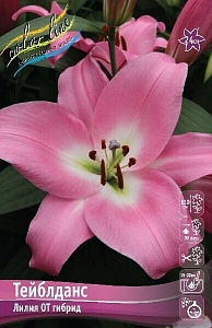 Лилия Тейблданс 1шт (КолЛайн) 5шт/уп