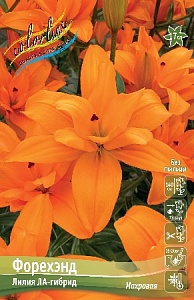 Лилия Форехэнд 12/14 1шт (КолЛайн) 5шт/уп