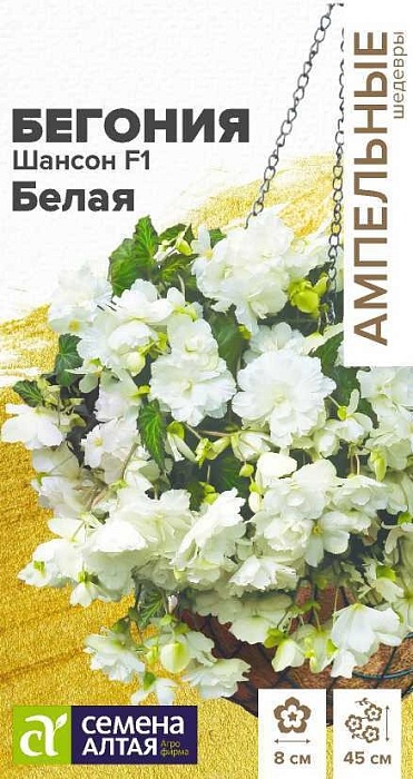 Бегония Шансон Белая F1 5шт ц/п (СемАлт) Амп.шедевры