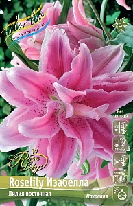 Лилия Roselily&Изабелла12/14 1шт (КолЛайн) 5шт/уп