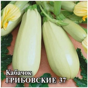 Кабачок Грибовские 37 25г (Гавриш)