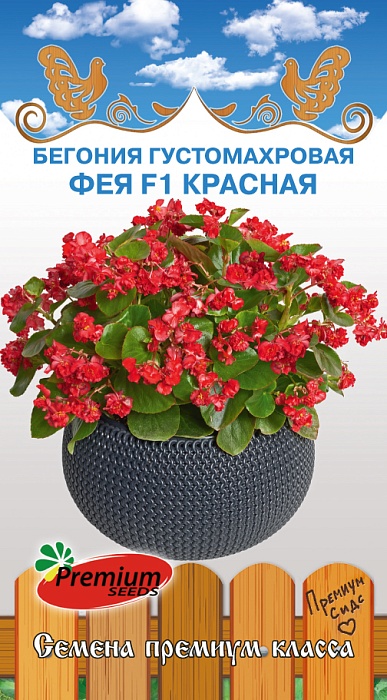 Бегония Фея Красная густомахровая F1 5шт ц/п (ПрСидс) 
