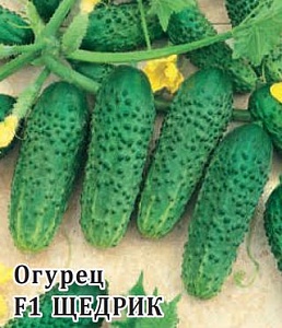 Огурец Щедрик F1 100шт (Гавриш) пикуль