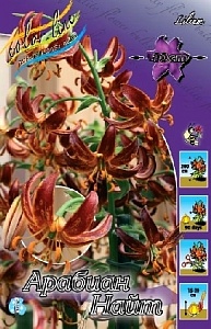 Лилия Арабиан Найт 12/14 1шт (КолЛайн) 2шт/уп 