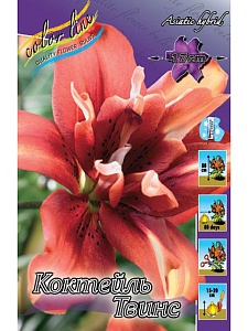 Лилия Коктейль Твинс 12/14 1шт (КолЛайн) 