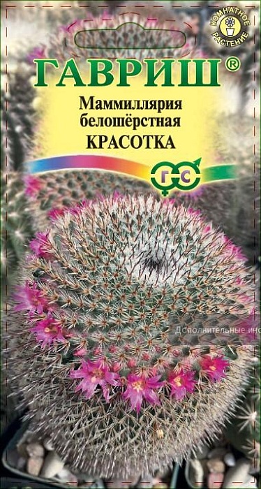 Маммиллярия (кактус) Красотка 2шт ц/п (Гавриш)