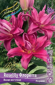 Лилия Roselily&Флоретта 12/14 1шт (КолЛайн) 5шт/уп