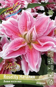 Лилия Roselily&Наталия 12/14 1шт (КолЛайн) 5шт/уп