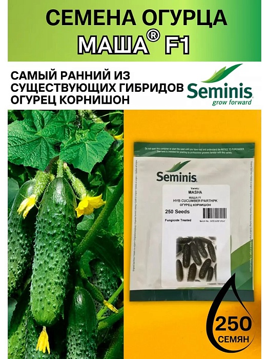 Огурец Маша F1 250шт (RS)