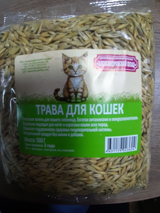 Трава для кошек 500г (Ал.склад) 5/40