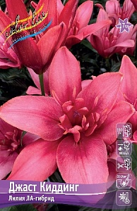 Лилия Джаст Киддинг 12/14 1шт (КолЛайн)