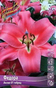 Лилия Федора 12/14 1шт (КолЛайн) 5шт/уп