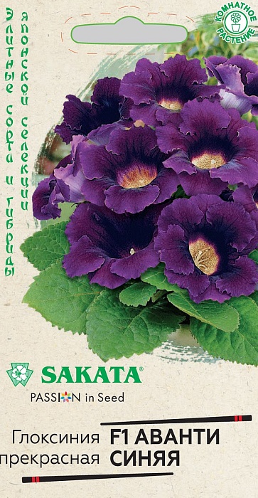 Глоксиния Аванти Синяя F1 4шт ц/п (Гавриш) Эксклюзив