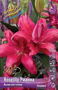 Лилия Roselily&Рианна 12/14 1шт (КолЛайн) 