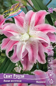 Лилия Свит Роузи 12/14 1шт (КолЛайн) 5шт/уп