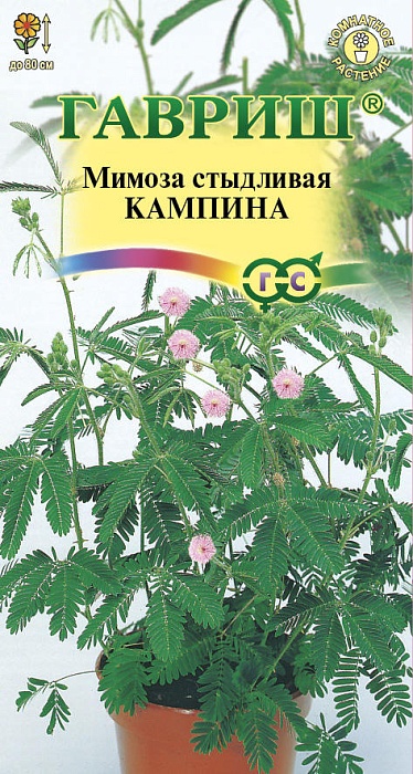 Мимоза Кампина стыдливая 0,1г ц/п (Гавриш) 