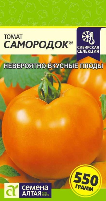 Томат Самородок 0,05г ц/п (СемАлт)