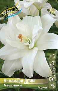 Лилия Аннамари Дрим 12/14 1шт (КолЛайн) 