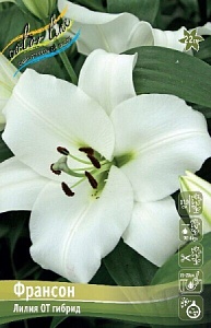 Лилия Франсон 12/14 1шт (КолЛайн) 5шт/уп