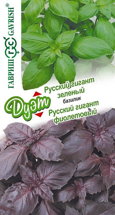 Базилик Русский гигант серия ДУЭТ зеленый+фиолетовый 0,1г+0,1г ц/п (Гавриш)